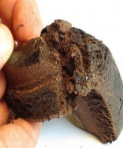 Buy Afghan Black Hash Online