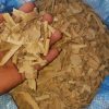 Authentic Iboga Bark Shavings Supplier
