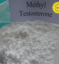 Buy Methyltestosterone Online