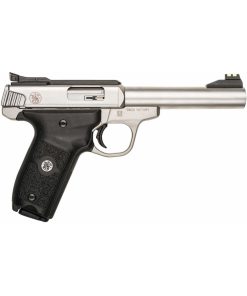 Smith & Wesson SW22 Victory