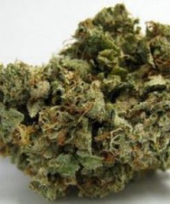 Buy Sweet Dutch Online