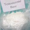 Testosterone Base Powder for Sale