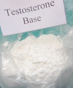 Testosterone Base Powder for Sale