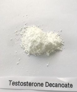 Buy Testosterone Decanoate Powder Online