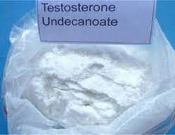 Buy Testosterone Undecanoate Powder Online
