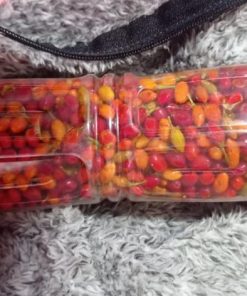 WhatsApp Image 2024 02 09 at 9.48.04 PM3 Erythroxylum Seeds