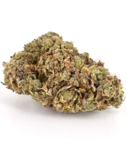 Bubba Rock (AAA)