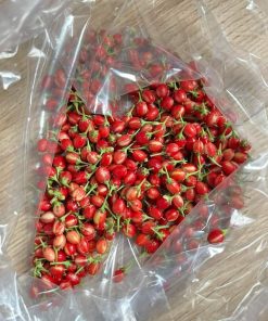 Buy Drug Lord Coca Seeds Online