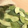 Buy Organic Coca Leaves Online