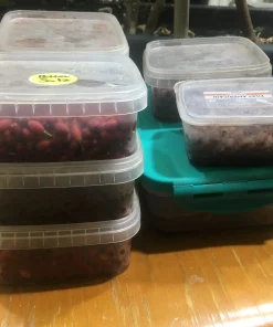 Coca Seed7 Erythroxylum Ipadu Seeds for Sale