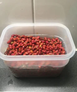 Erythroxylum Coca Seeds4 Buy Drug Lord Coca Seeds Online