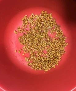 Erythroxylum Coca Seeds6 Buy Drug Lord Coca Seeds Online