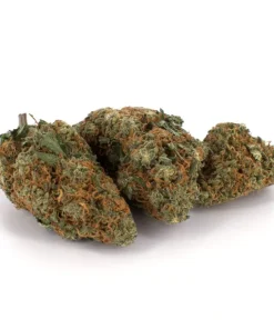 Northern Lights (AA)