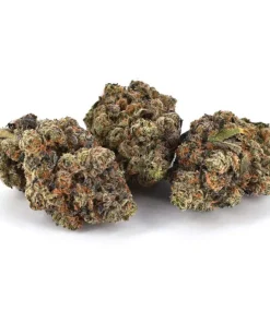 Peanut Butter Rockstar (AAAA)