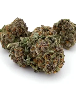 Purple Passion (AAA)