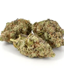 Small Miracle Alien Cookies (AAAA)