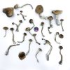 Strongest Psilocybe Cubensis Amazonian Strain