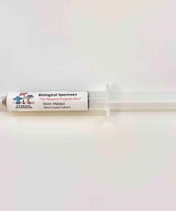 Magic Mushroom Liquid Culture Malabar 10cc 1 Buy Magic Mushroom Liquid Culture: Golden Teacher 10 cc Online