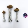 Buy Super Thai Magic Mushroom Online