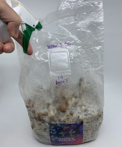 The Ultimate All In One Magic Mushroom Grow Kit2 Buy The Ultimate All-In-One Magic Mushroom Grow Kit Online