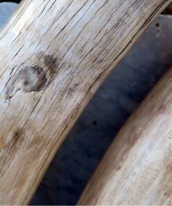 Elephant Tusks5 Buy Elephant Tusks Online